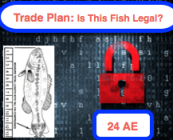 Password class #24 - Trade Plans: Is This Fish Legal?